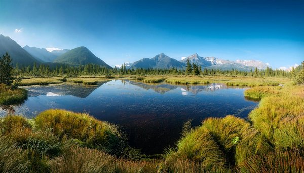 Comment organiser un camping pour une expédition de kayak sur les fjords de Norvège?